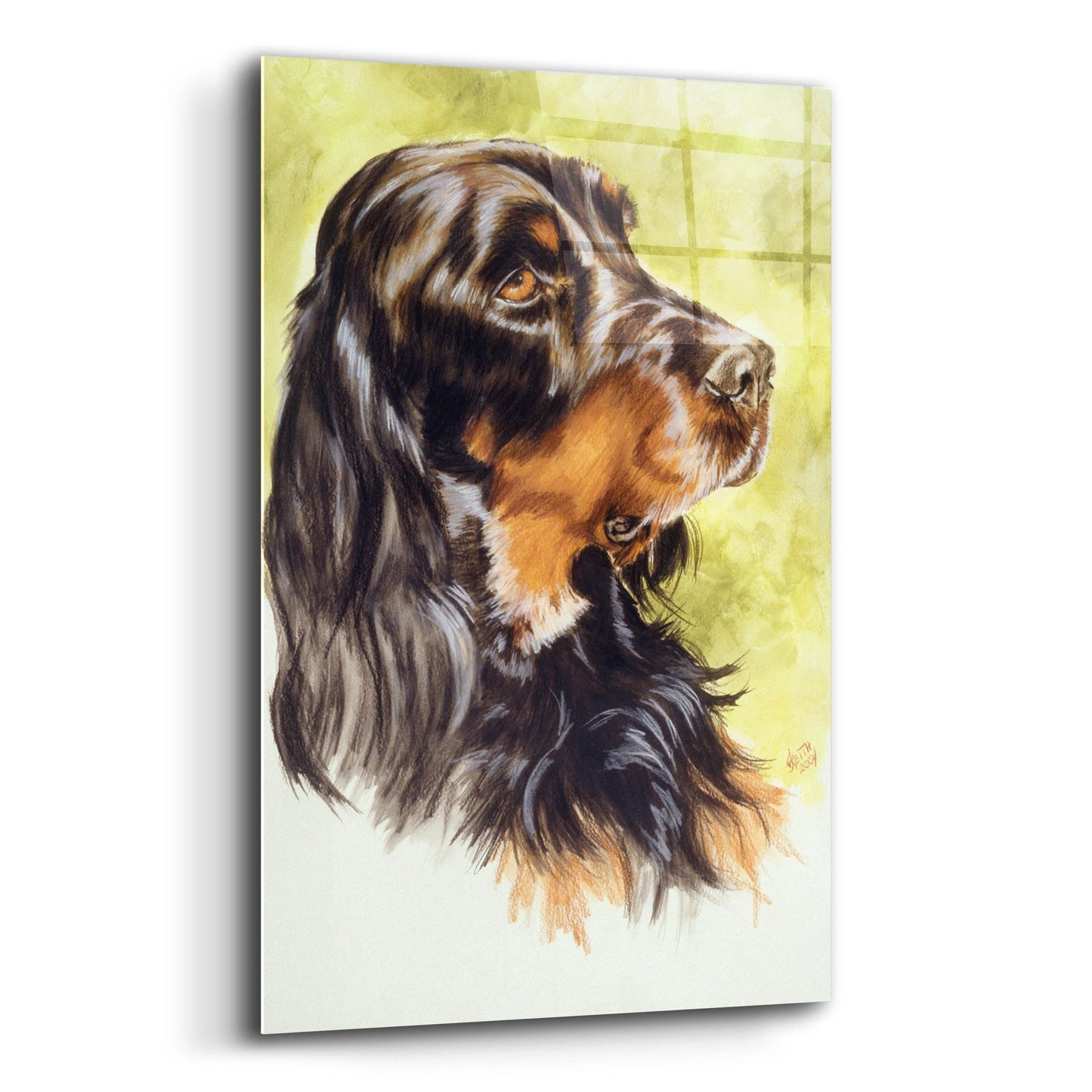 Epic Art 'Gordon Setter' by Barbara Keith, Acrylic Glass Wall Art,16x24