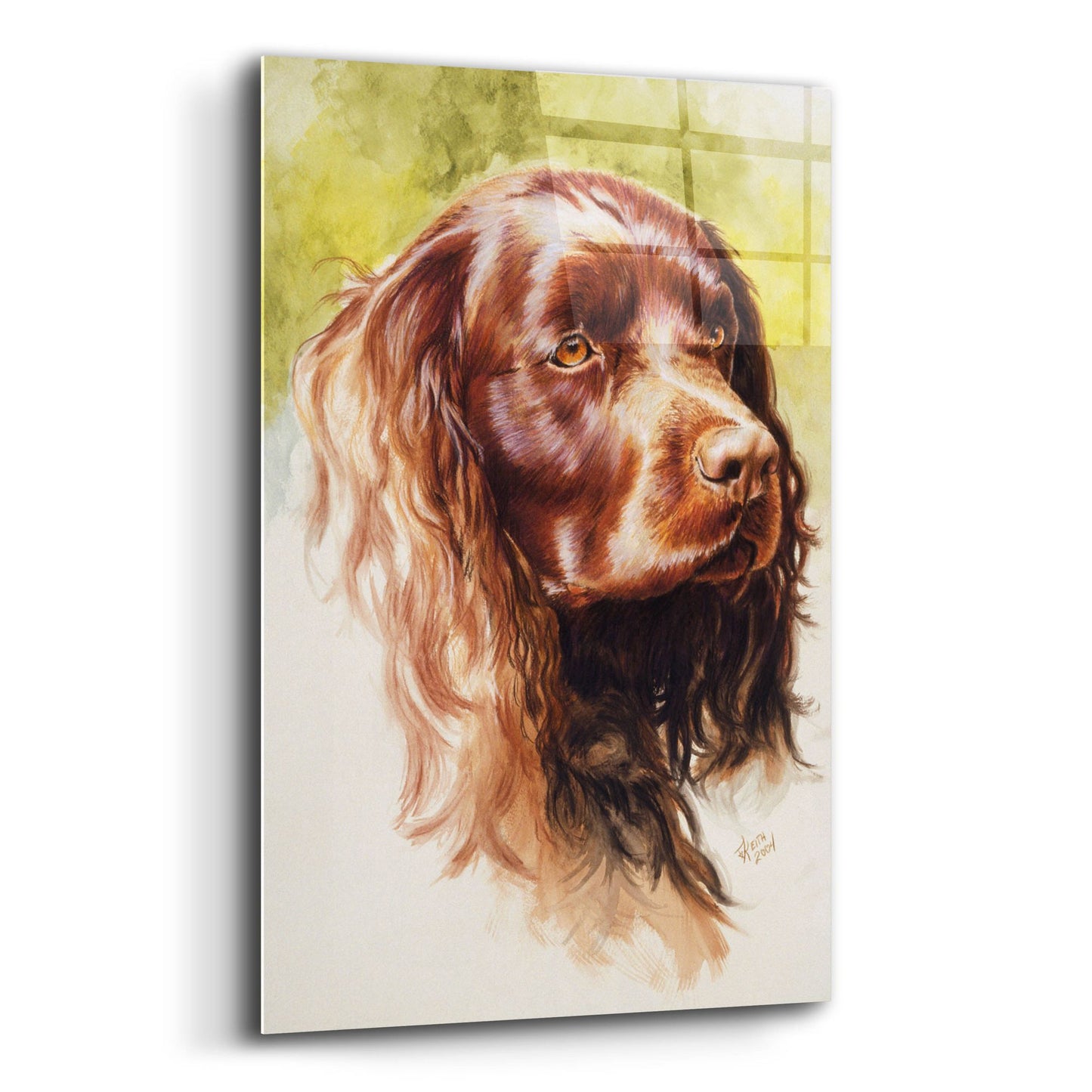 Epic Art 'Am Water Spaniel' by Barbara Keith, Acrylic Glass Wall Art,12x16