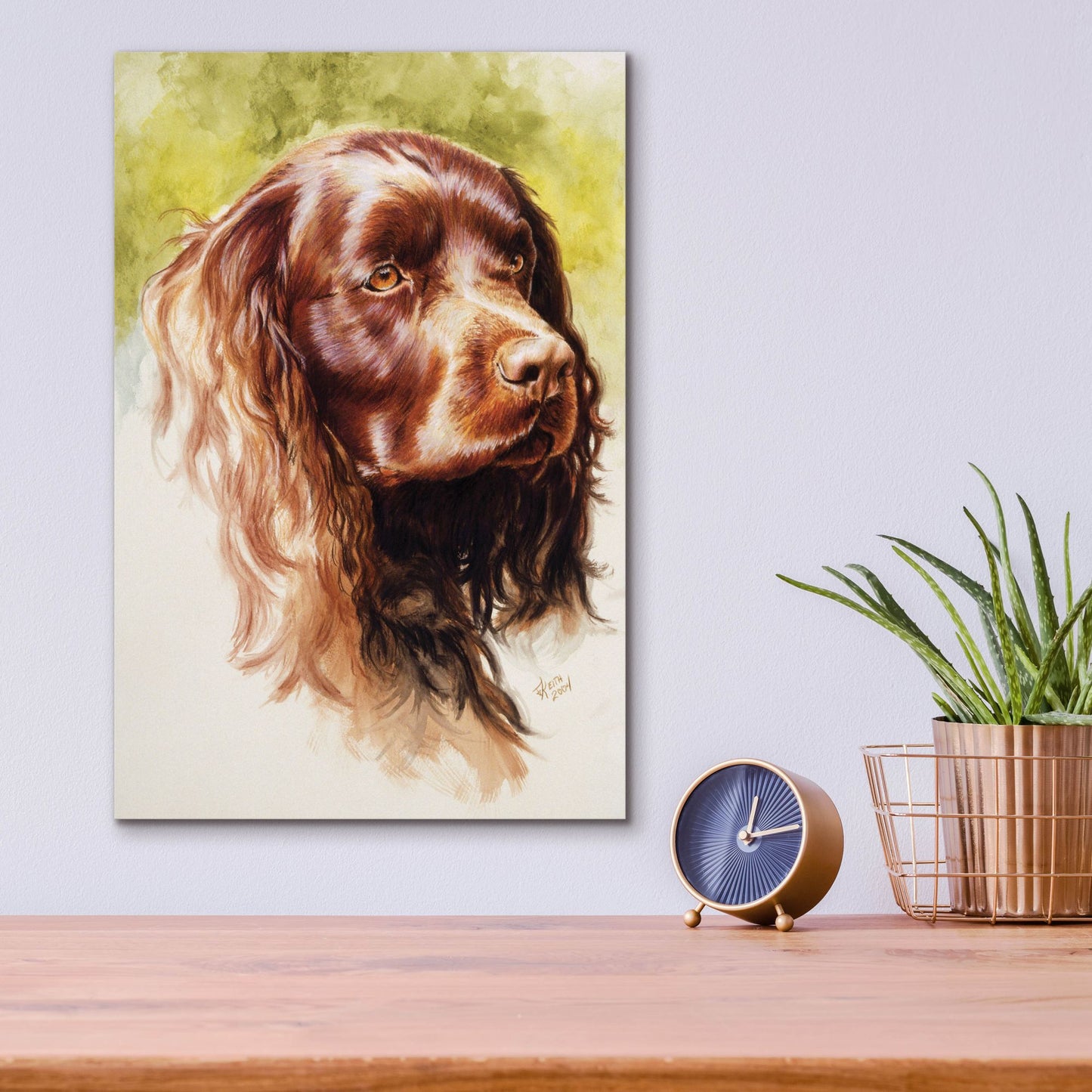 Epic Art 'Am Water Spaniel' by Barbara Keith, Acrylic Glass Wall Art,12x16