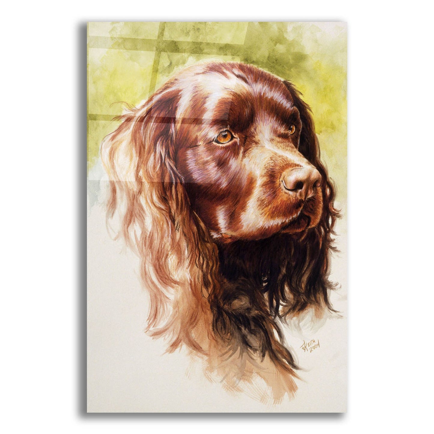 Epic Art 'Am Water Spaniel' by Barbara Keith, Acrylic Glass Wall Art,12x16