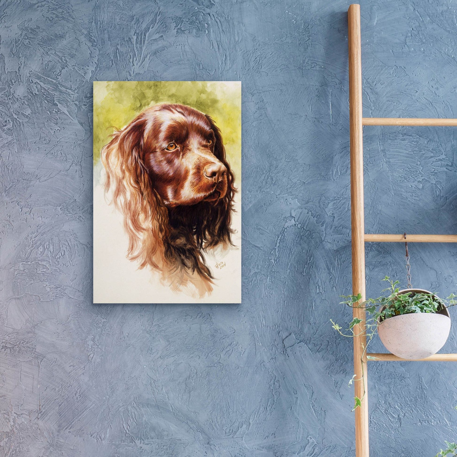 Epic Art 'Am Water Spaniel' by Barbara Keith, Acrylic Glass Wall Art,16x24