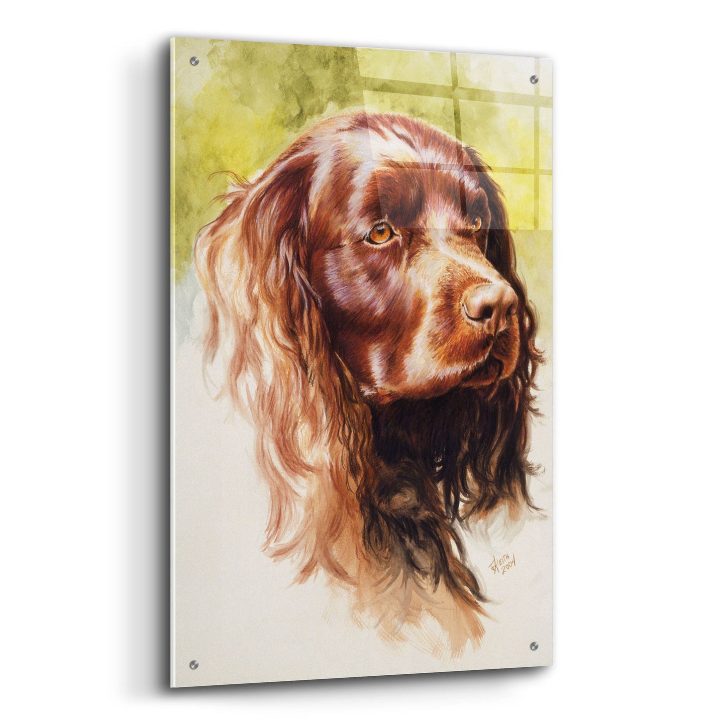 Epic Art 'Am Water Spaniel' by Barbara Keith, Acrylic Glass Wall Art,24x36