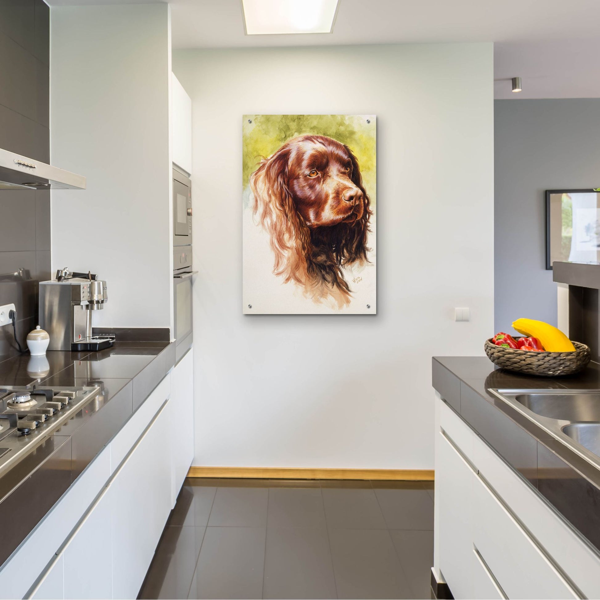 Epic Art 'Am Water Spaniel' by Barbara Keith, Acrylic Glass Wall Art,24x36