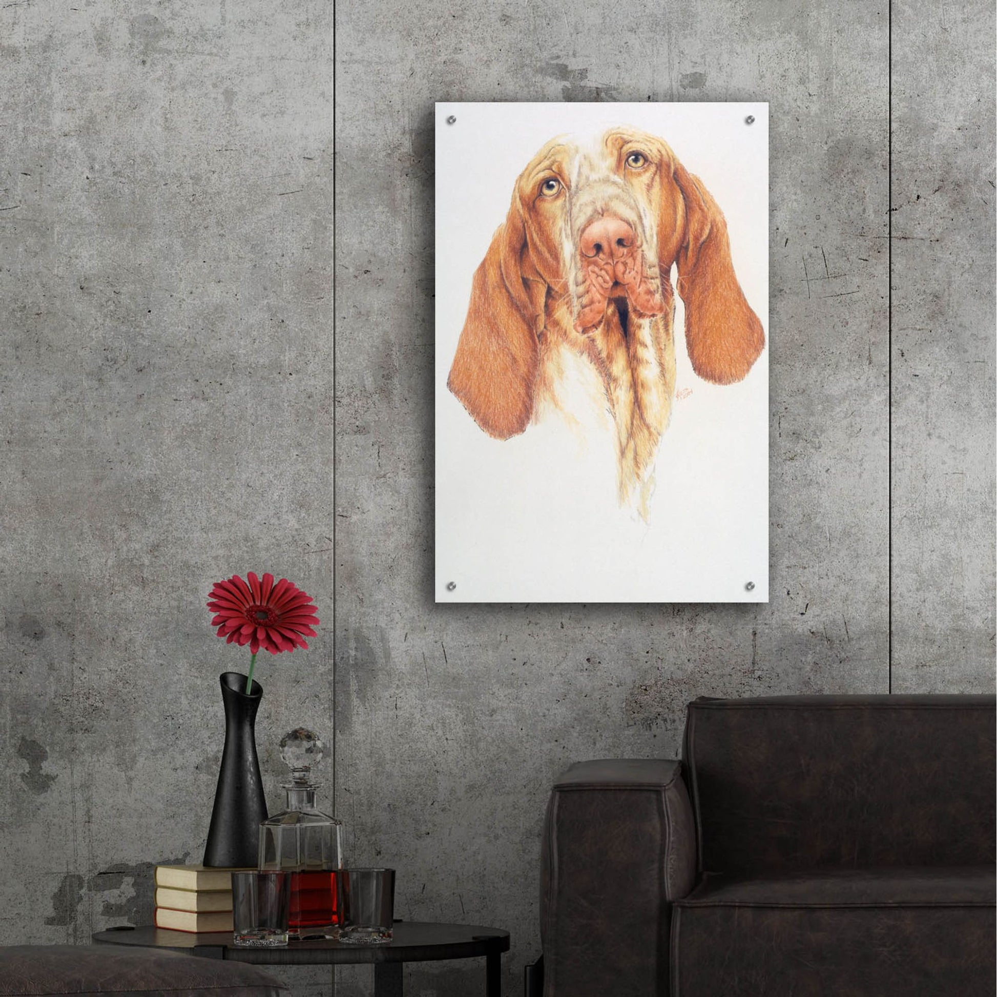 Epic Art 'Bracco Italiano' by Barbara Keith, Acrylic Glass Wall Art,24x36