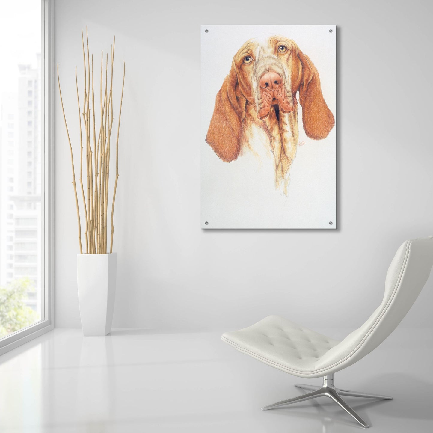 Epic Art 'Bracco Italiano' by Barbara Keith, Acrylic Glass Wall Art,24x36