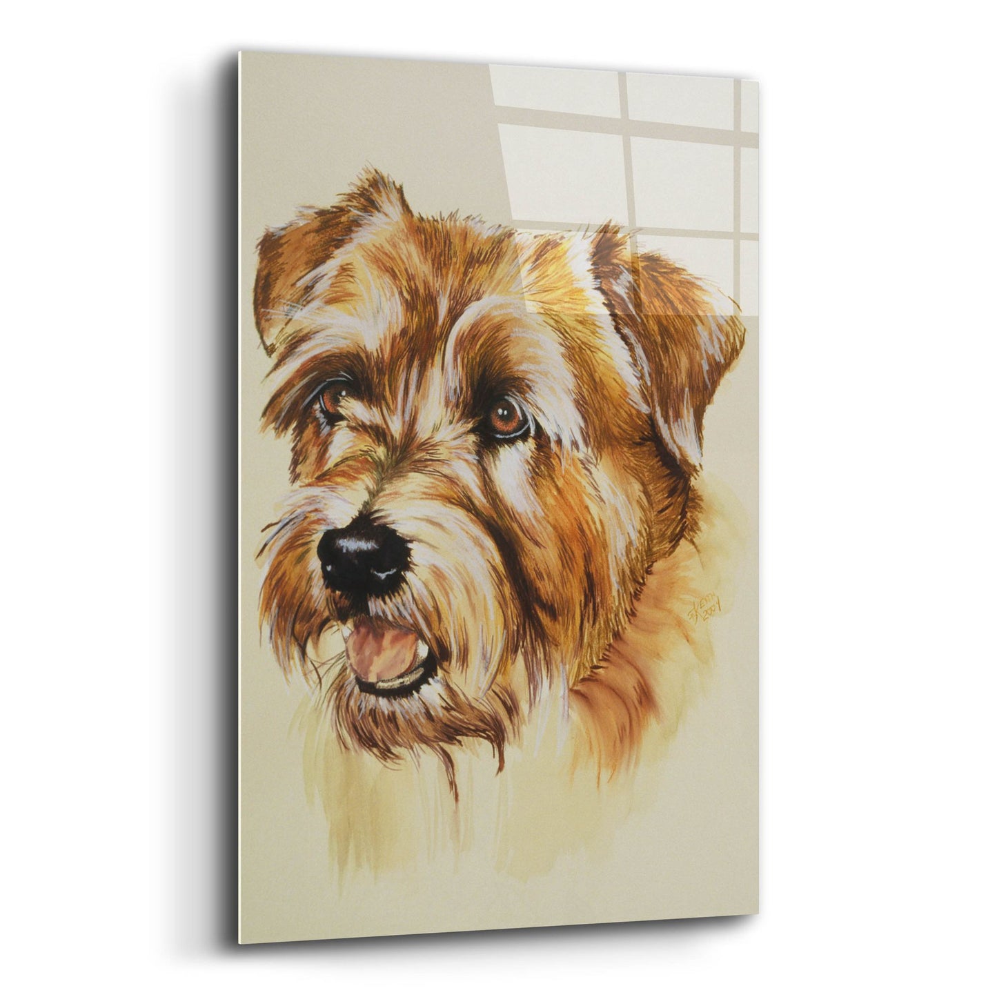 Epic Art 'Norfolk Terrier' by Barbara Keith, Acrylic Glass Wall Art,12x16