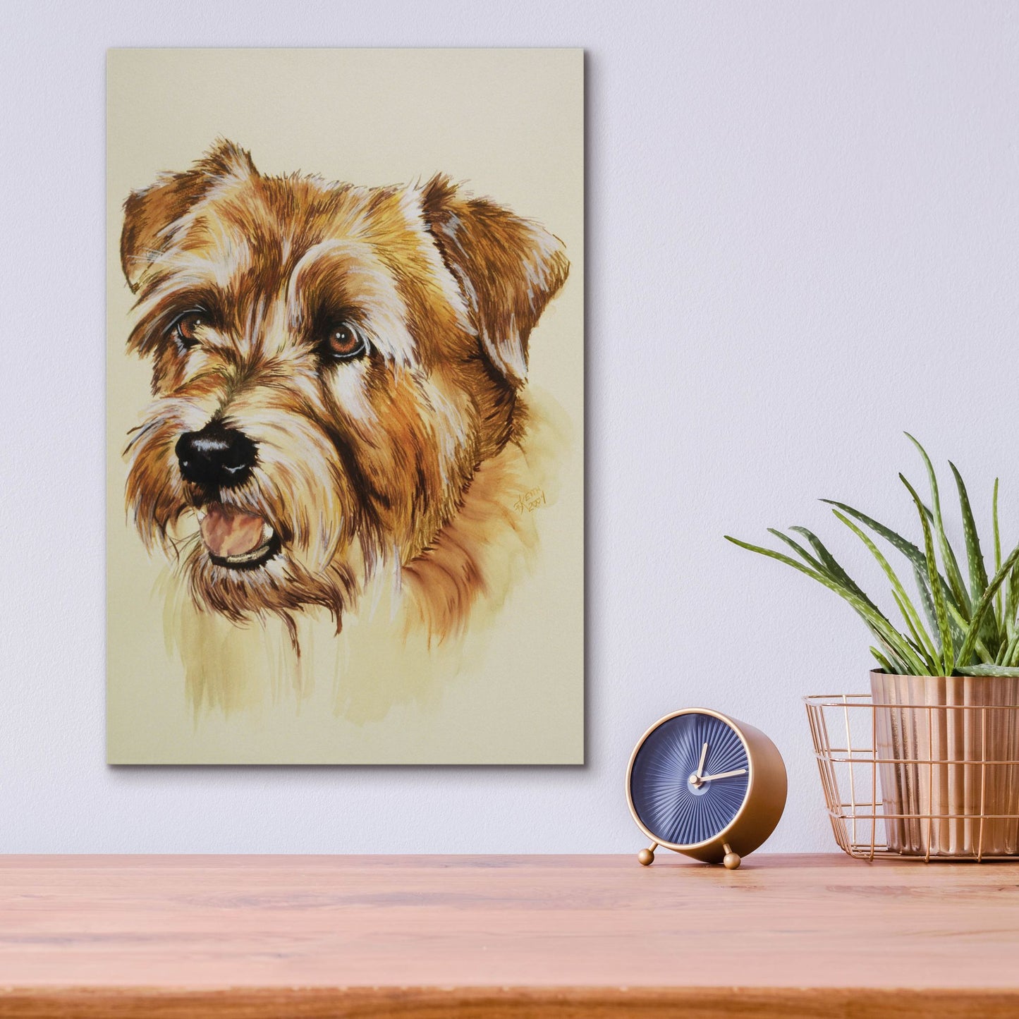 Epic Art 'Norfolk Terrier' by Barbara Keith, Acrylic Glass Wall Art,12x16