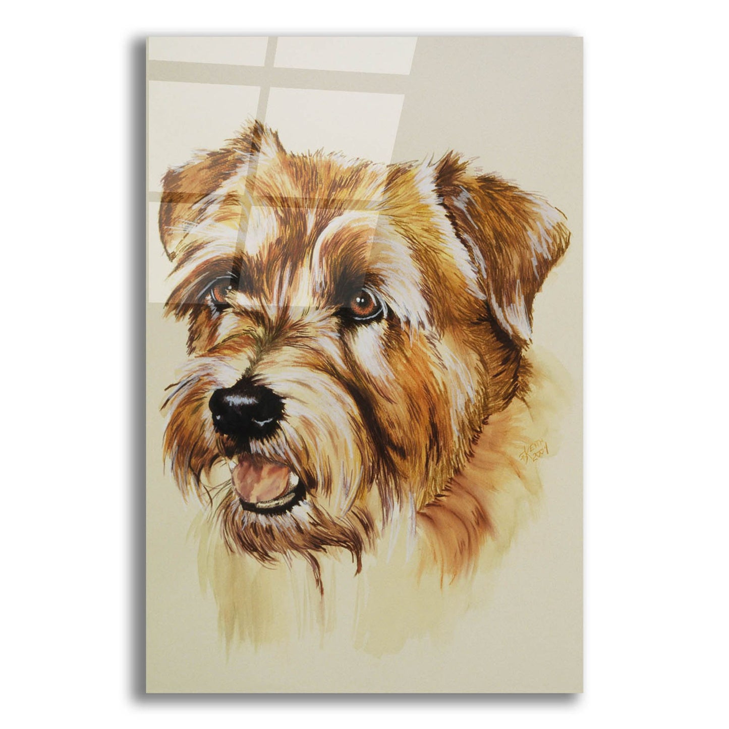 Epic Art 'Norfolk Terrier' by Barbara Keith, Acrylic Glass Wall Art,12x16