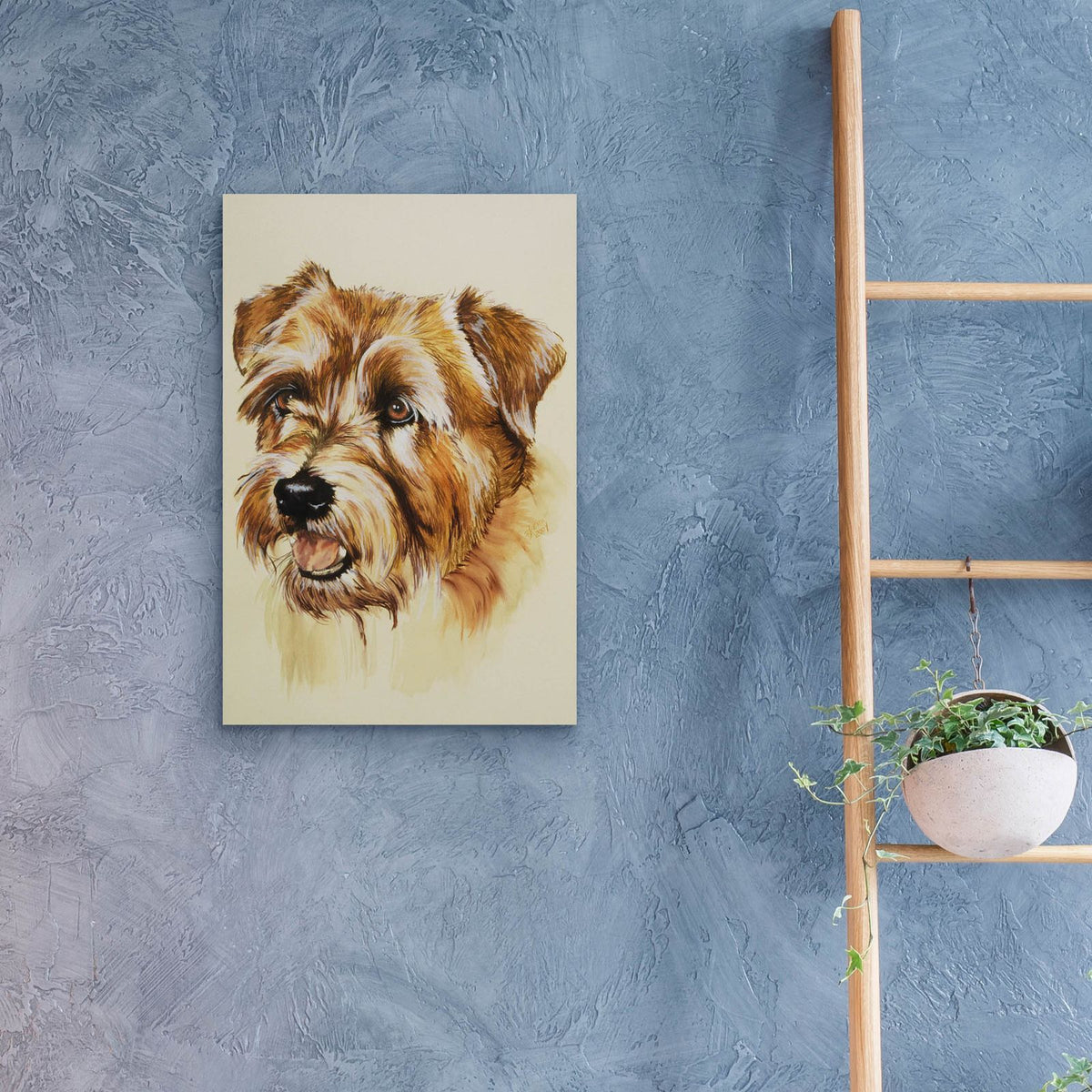Norfolk Terrier by Barbara Keith - 16x24 acrylic wall art in a room