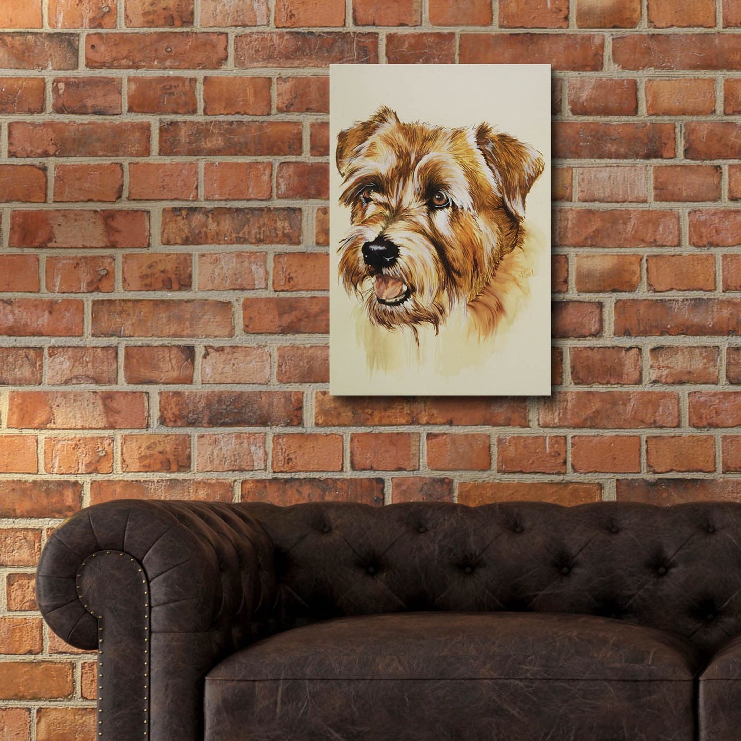 Epic Art 'Norfolk Terrier' by Barbara Keith, Acrylic Glass Wall Art,16x24