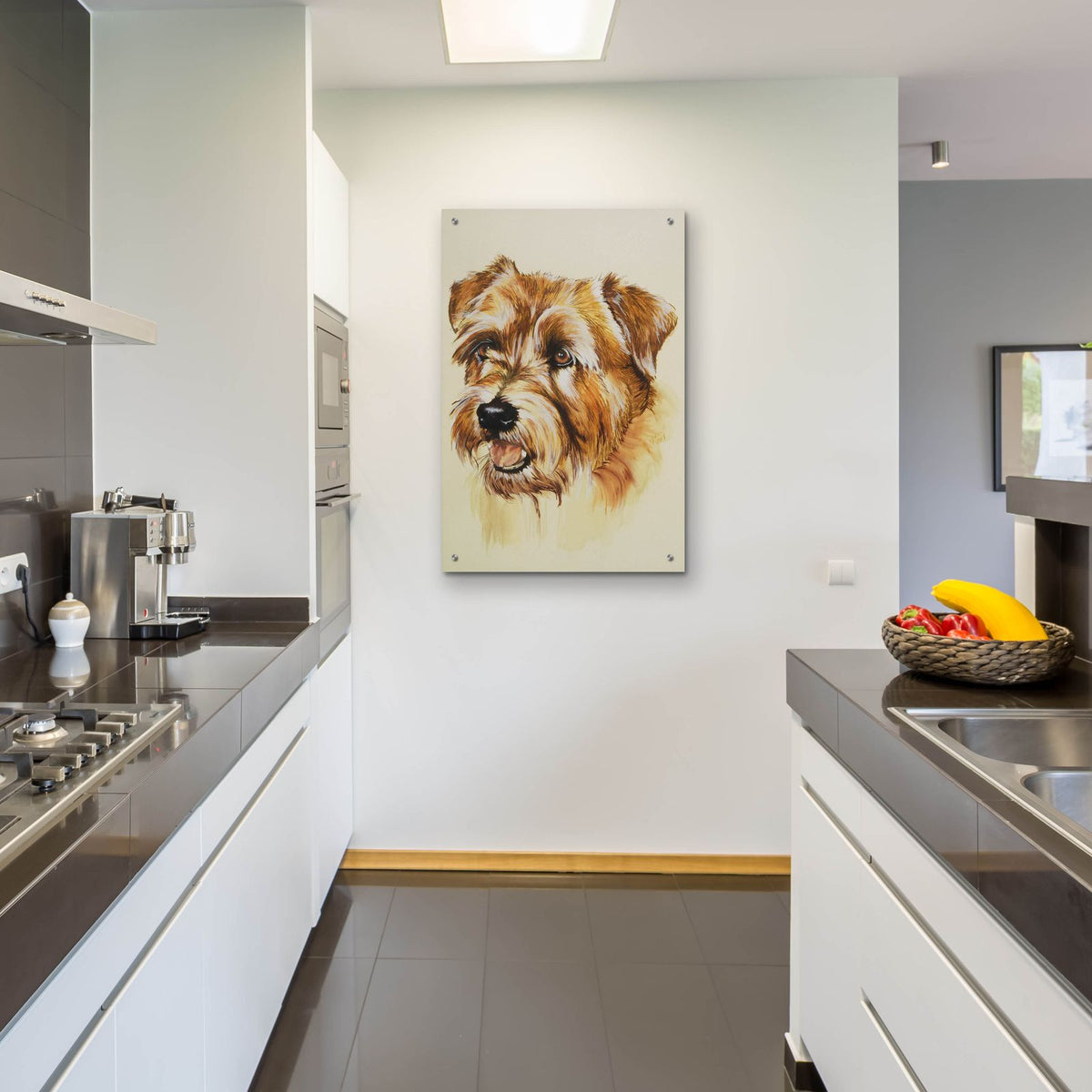 Norfolk Terrier by Barbara Keith - 24x36 acrylic wall art in a room