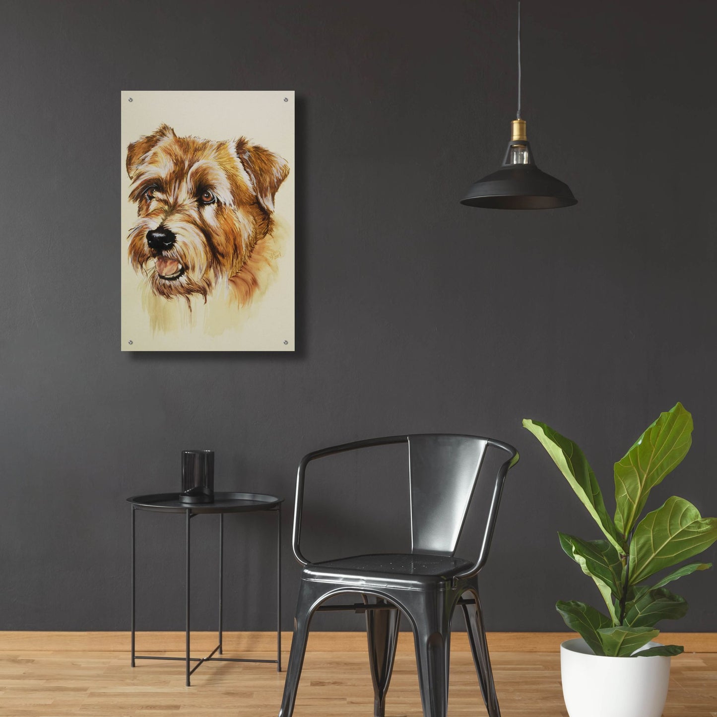 Epic Art 'Norfolk Terrier' by Barbara Keith, Acrylic Glass Wall Art,24x36