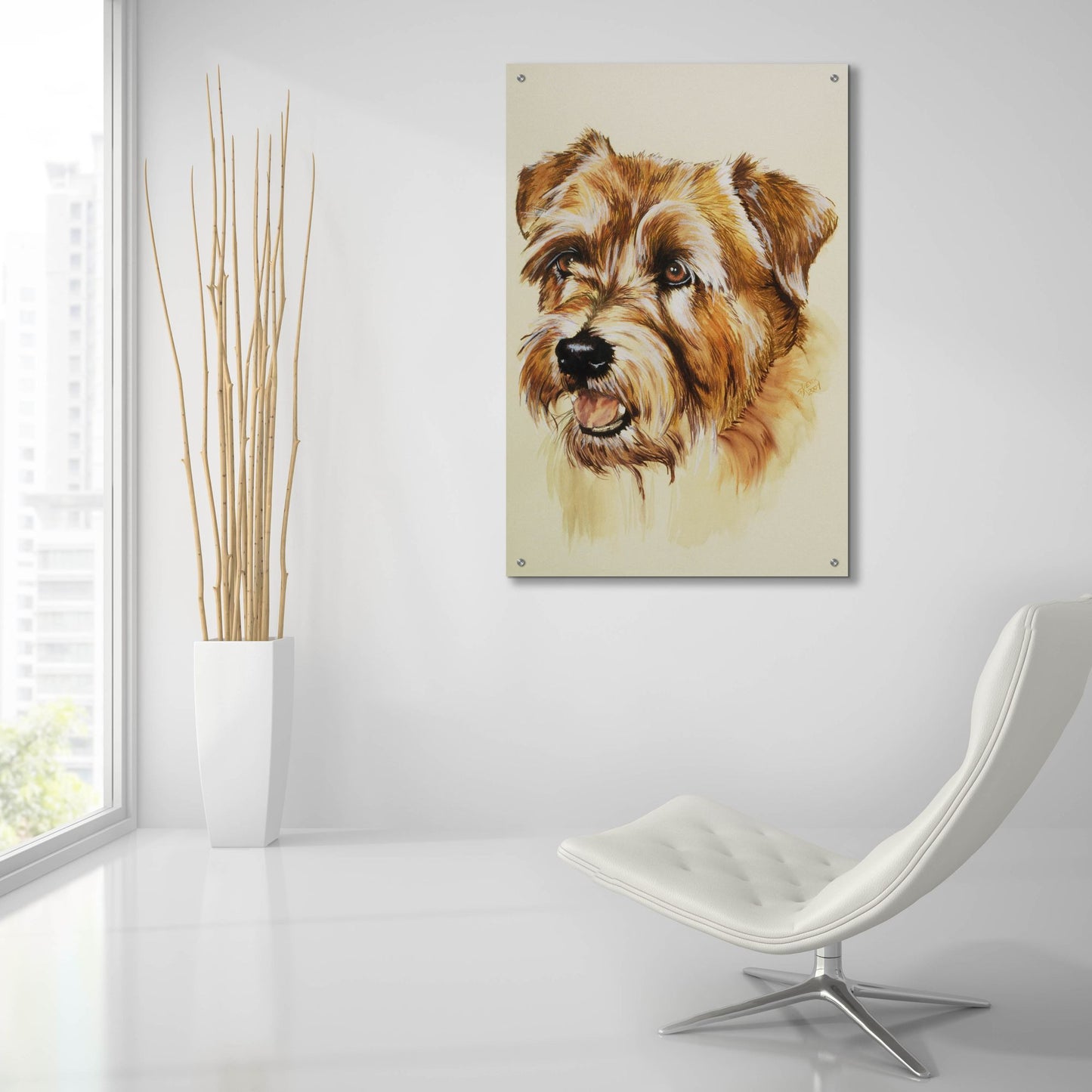 Epic Art 'Norfolk Terrier' by Barbara Keith, Acrylic Glass Wall Art,24x36