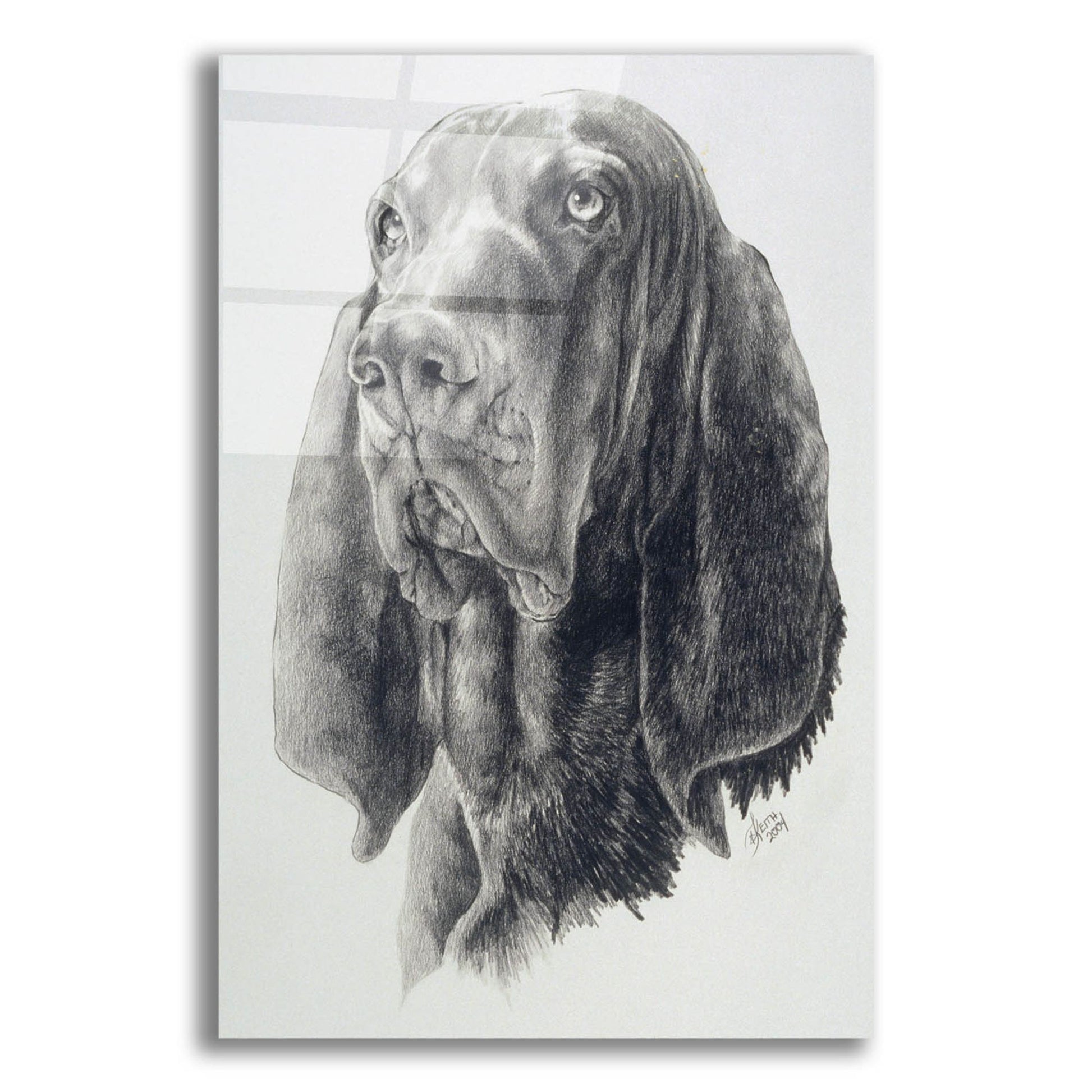 Epic Art 'Black & Tan Coonhound' by Barbara Keith, Acrylic Glass Wall Art,16x24