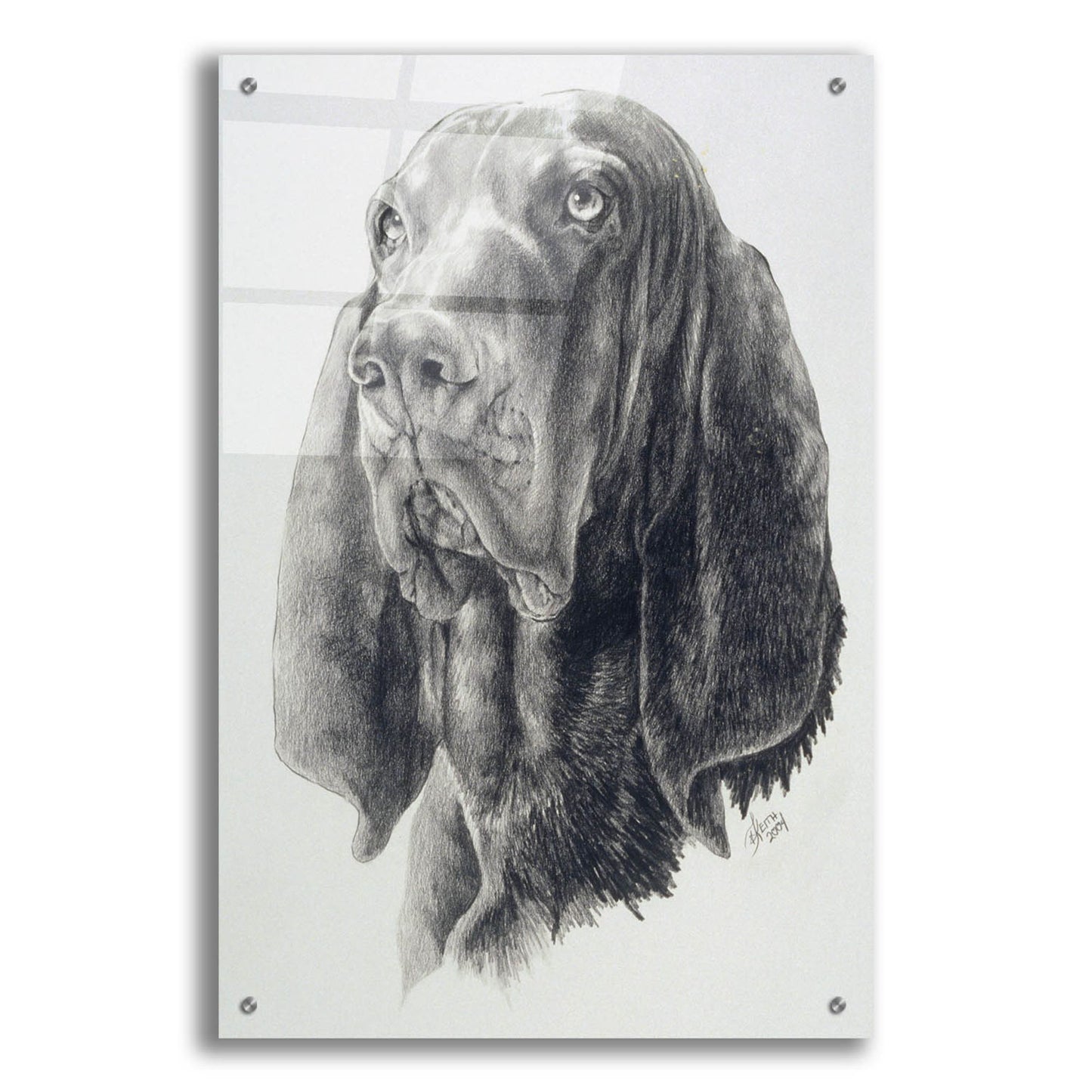 Epic Art 'Black & Tan Coonhound' by Barbara Keith, Acrylic Glass Wall Art,24x36