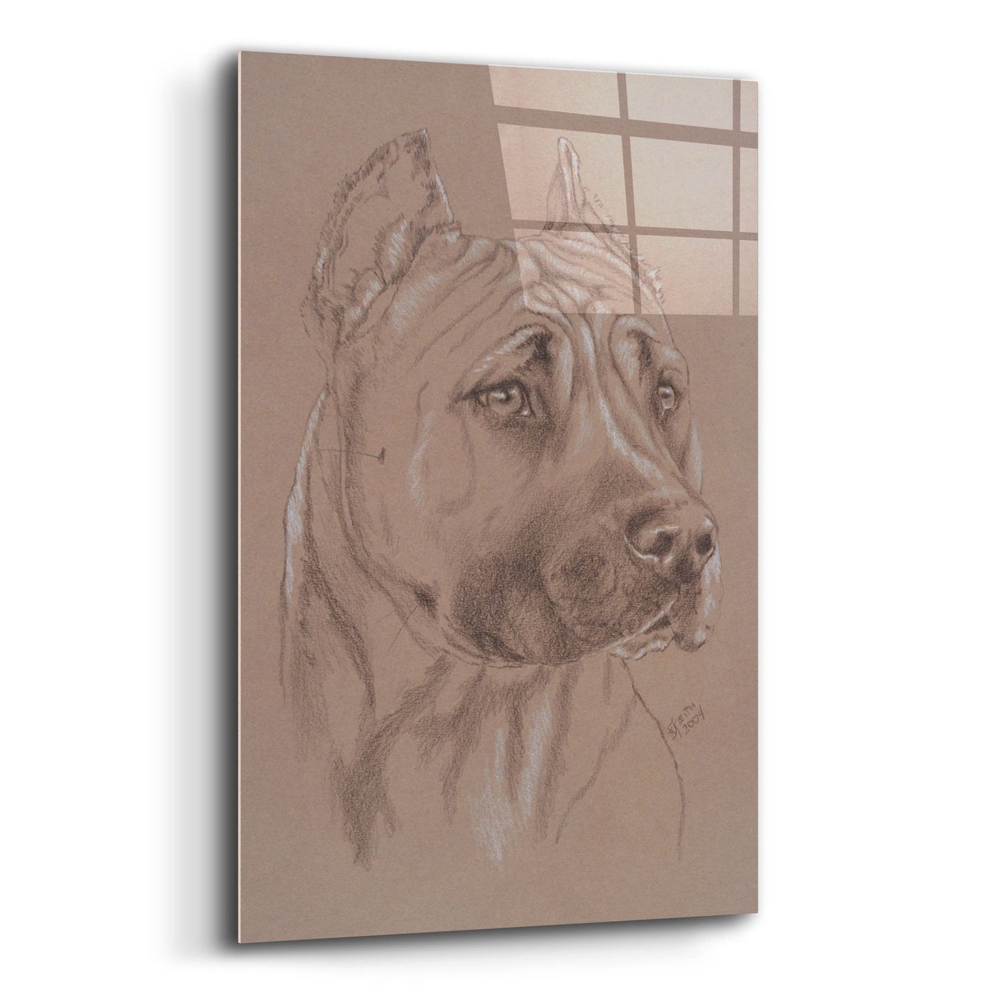 Epic Art 'Am Staffordshire Terrier' by Barbara Keith, Acrylic Glass Wall Art,12x16