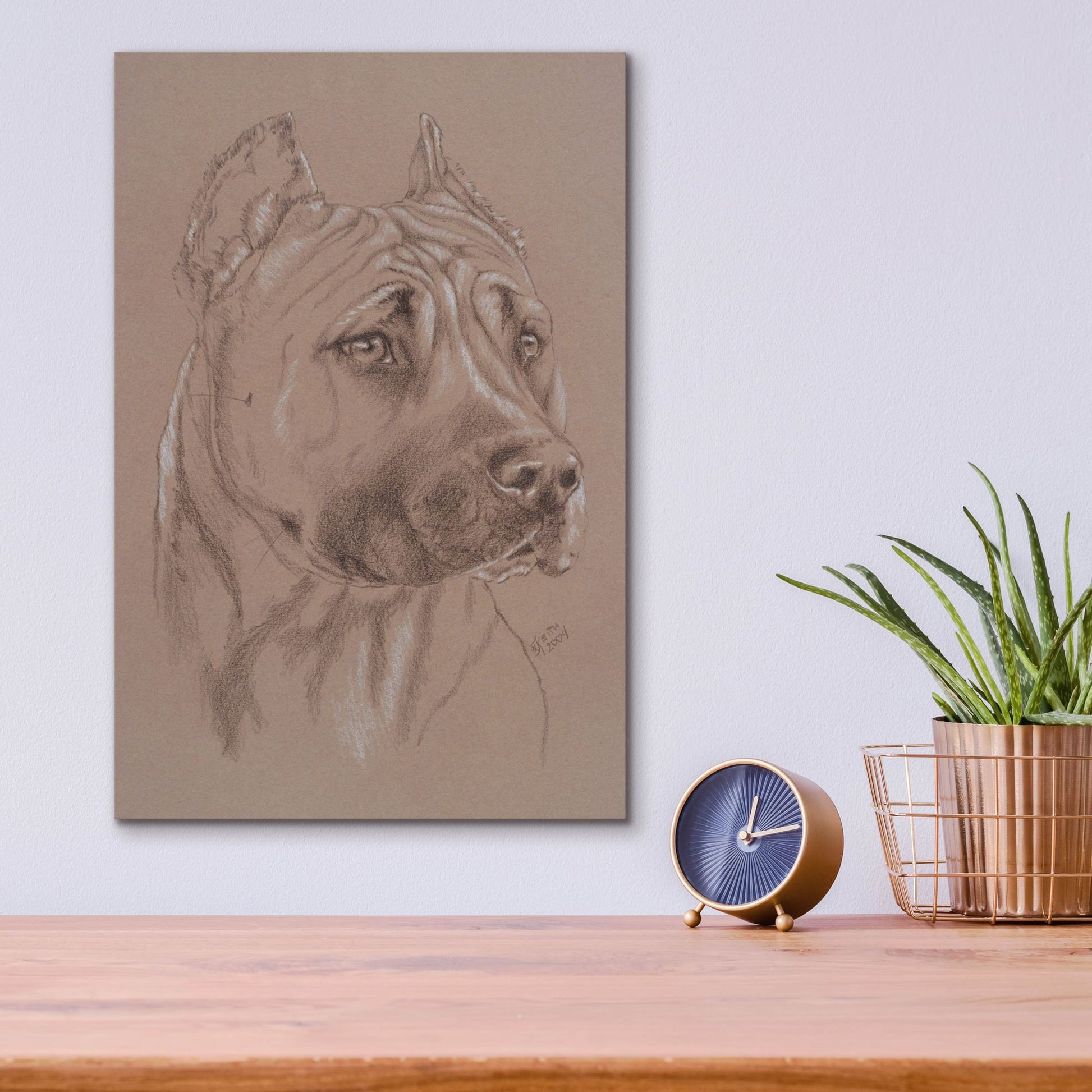 Epic Art 'Am Staffordshire Terrier' by Barbara Keith, Acrylic Glass Wall Art,12x16