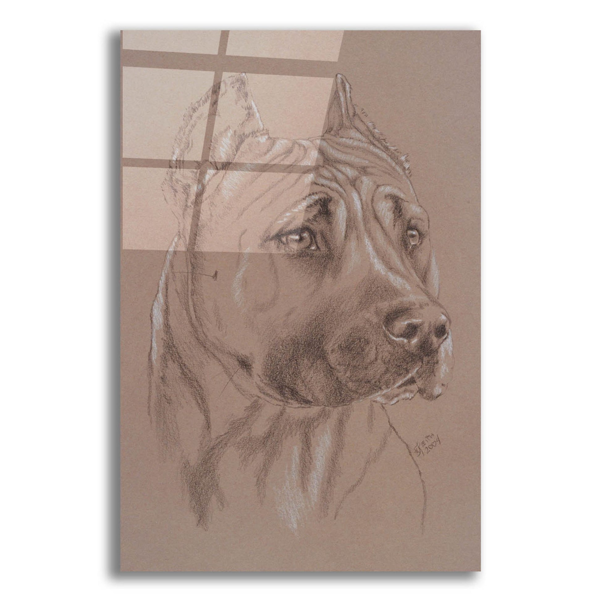 Epic Art 'Am Staffordshire Terrier' by Barbara Keith, Acrylic Glass Wall Art,12x16