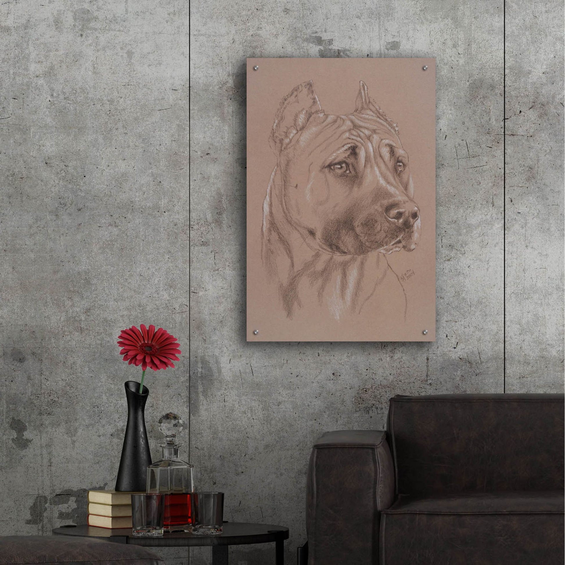 Epic Art 'Am Staffordshire Terrier' by Barbara Keith, Acrylic Glass Wall Art,24x36