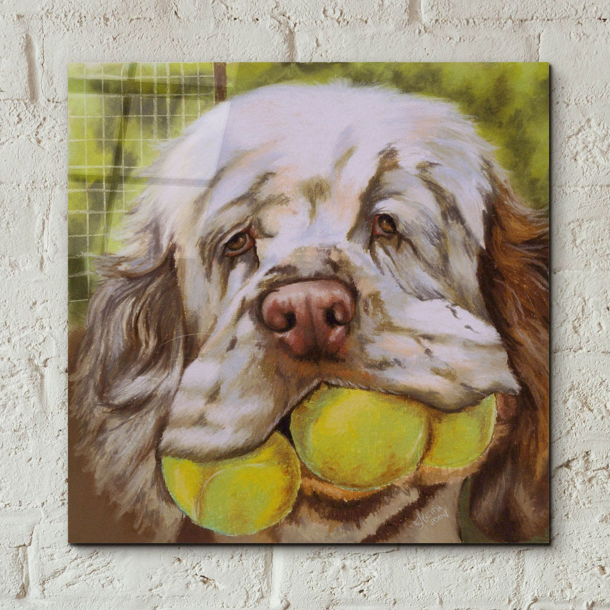Clumber Spaniel 2 by Barbara Keith - 12x12 acrylic wall art in a room