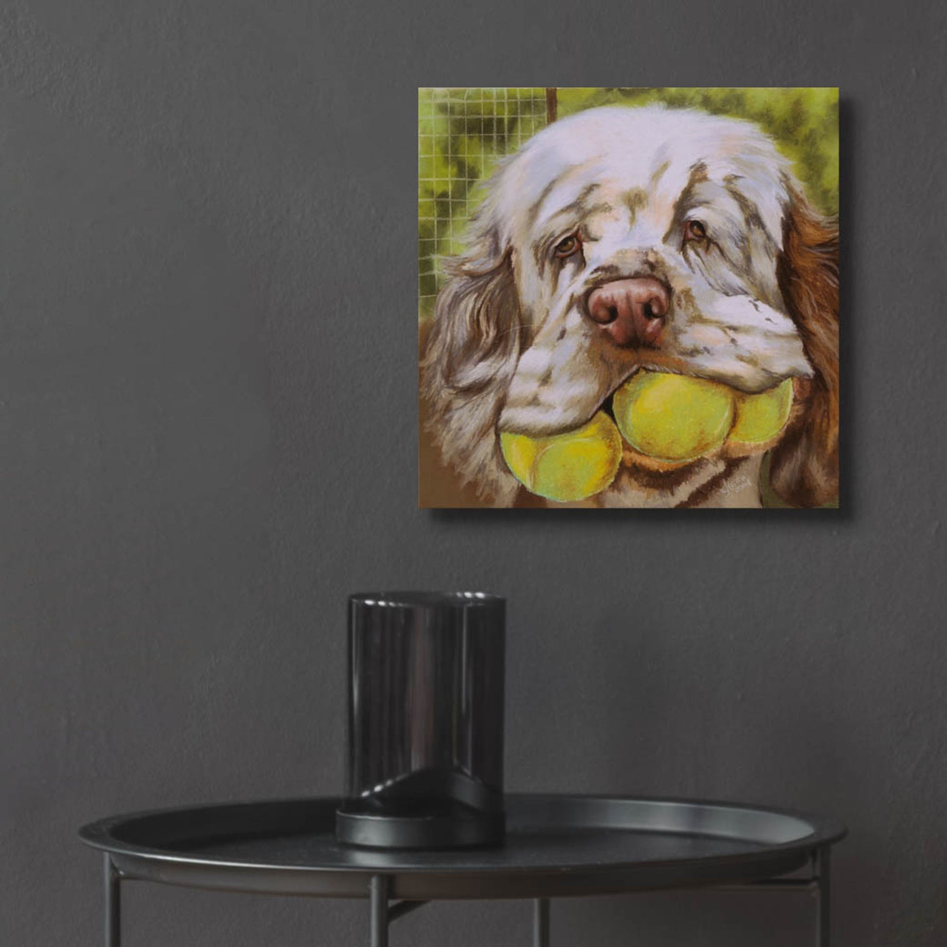 Epic Art 'Clumber Spaniel 2' by Barbara Keith, Acrylic Glass Wall Art,12x12