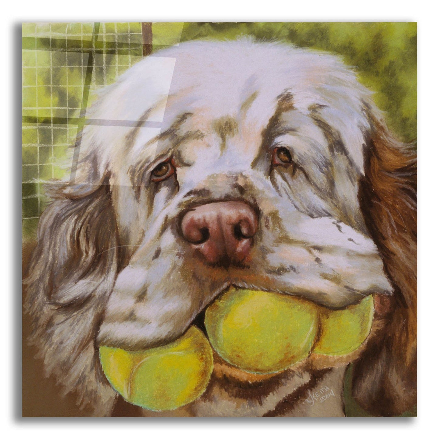 Epic Art 'Clumber Spaniel 2' by Barbara Keith, Acrylic Glass Wall Art,12x12