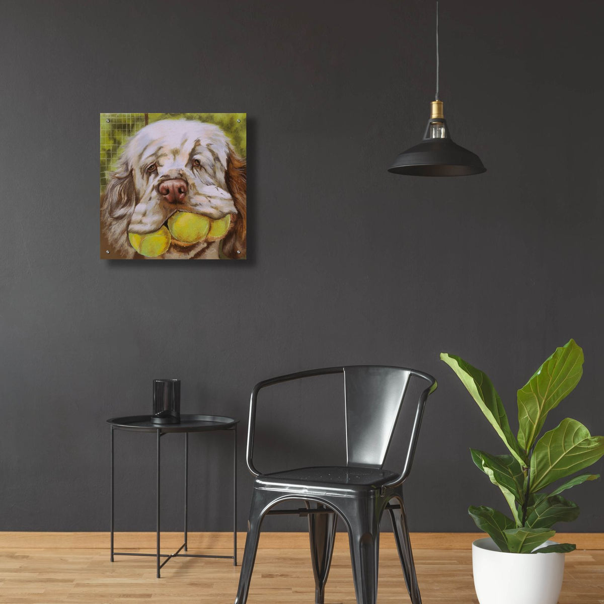 Clumber Spaniel 2 by Barbara Keith - 24x24 acrylic wall art in a room