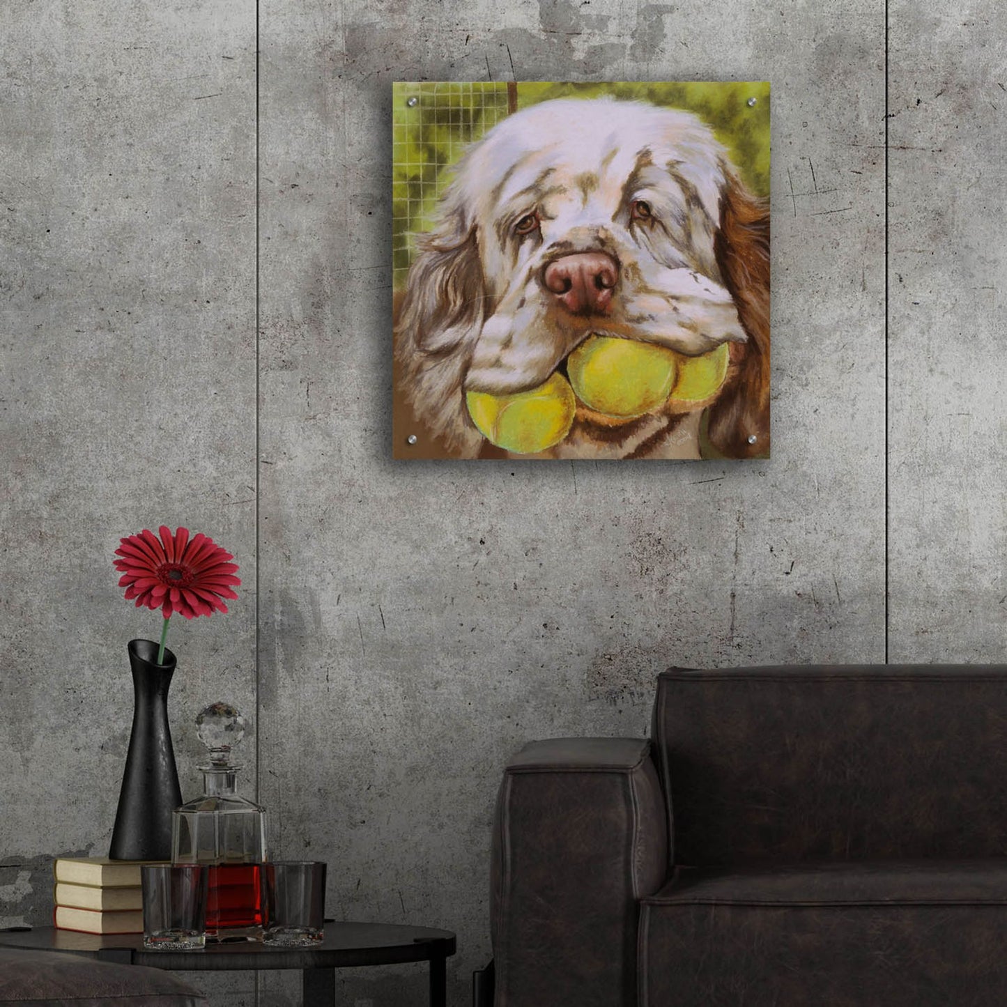 Epic Art 'Clumber Spaniel 2' by Barbara Keith, Acrylic Glass Wall Art,24x24