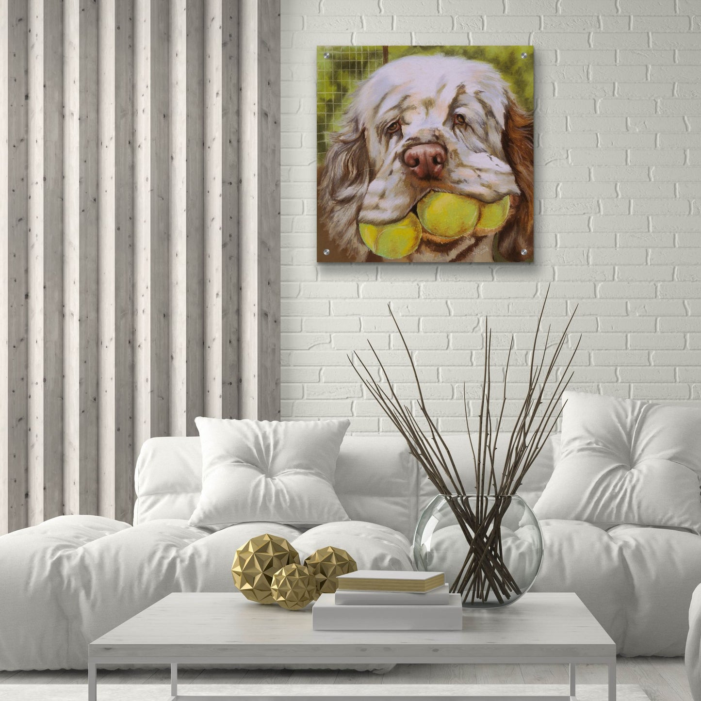 Epic Art 'Clumber Spaniel 2' by Barbara Keith, Acrylic Glass Wall Art,24x24