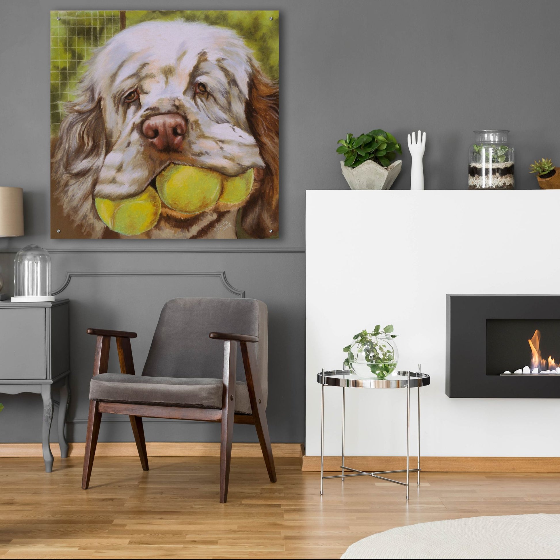 Epic Art 'Clumber Spaniel 2' by Barbara Keith, Acrylic Glass Wall Art,36x36