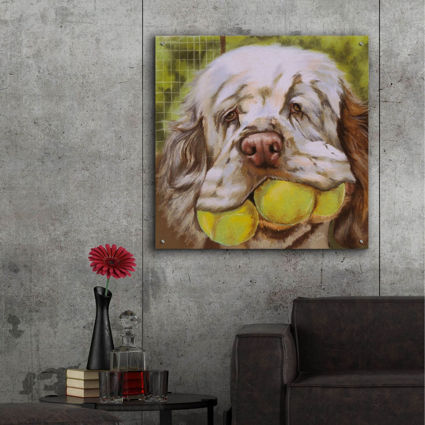 Epic Art 'Clumber Spaniel 2' by Barbara Keith, Acrylic Glass Wall Art,36x36