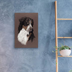 Bernese Mt. Dog by Barbara Keith - 16x24 acrylic wall art in a room
