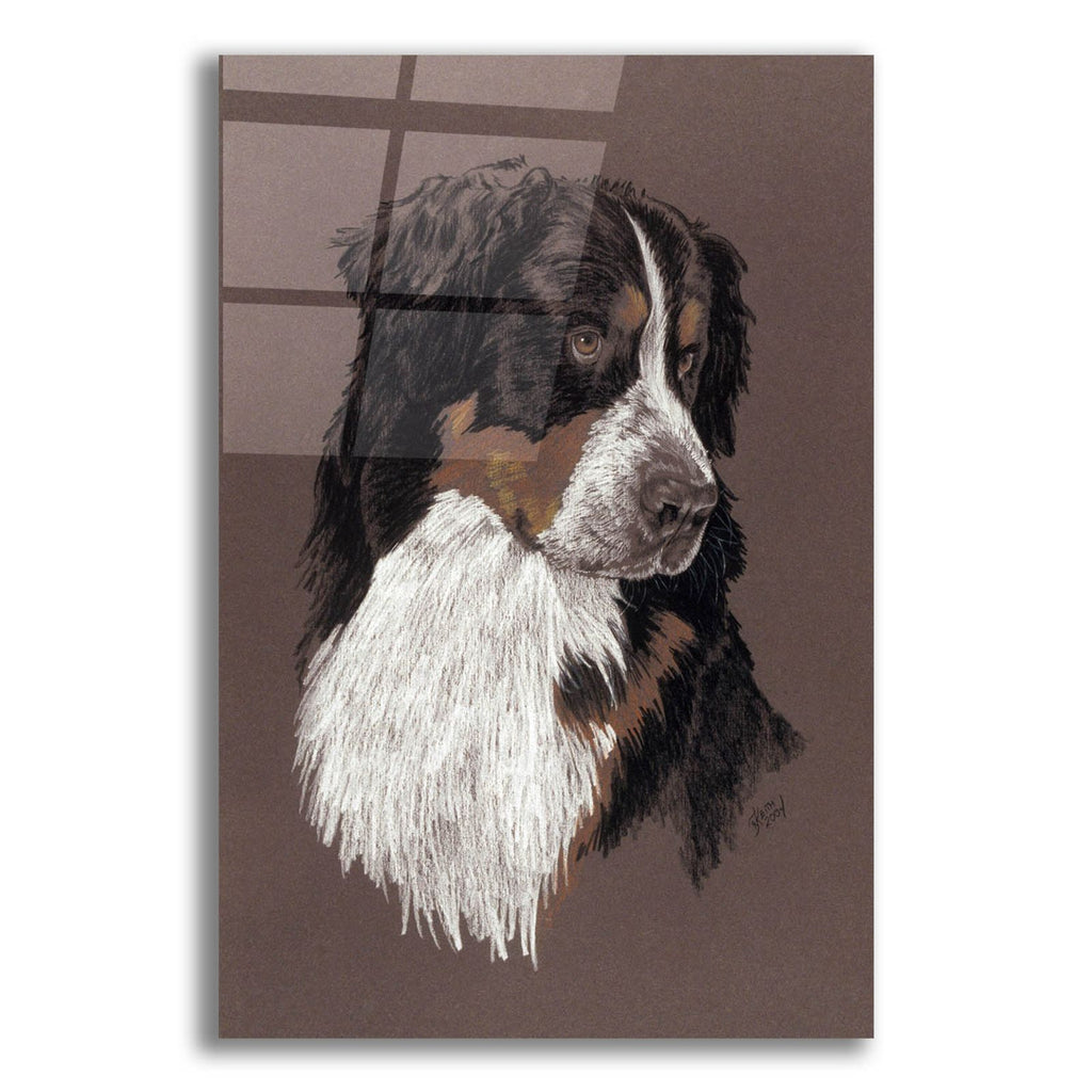 Bernese Mt. Dog by Barbara Keith acrylic glass wall art