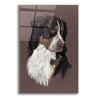 Bernese Mt. Dog by Barbara Keith acrylic glass wall art