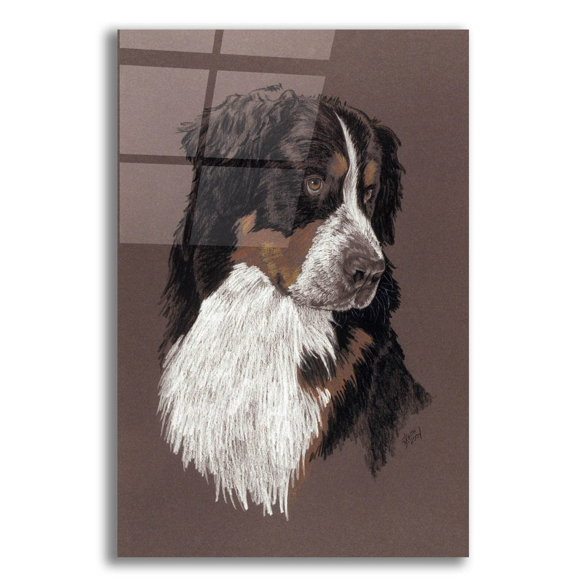 Bernese Mt. Dog by Barbara Keith acrylic glass wall art