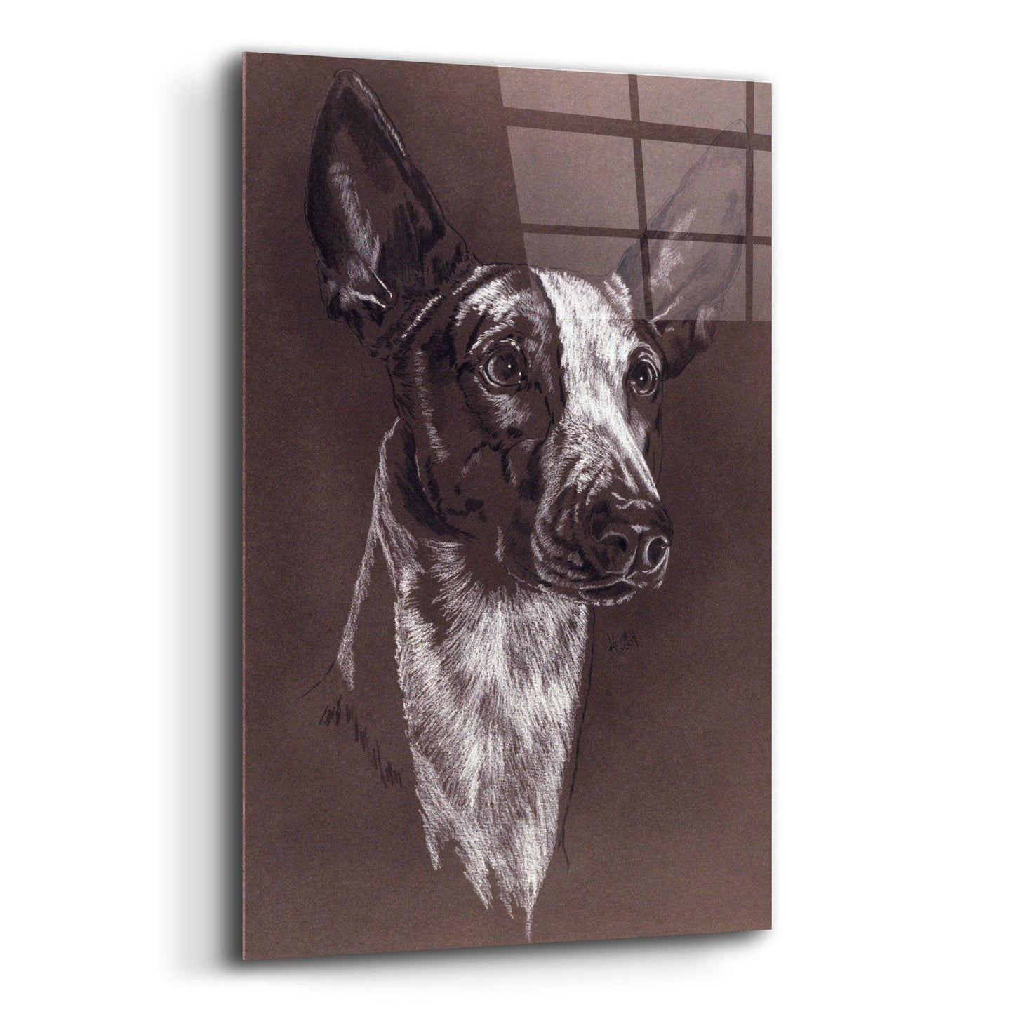 Epic Art 'Ibizan Hound' by Barbara Keith, Acrylic Glass Wall Art,12x16