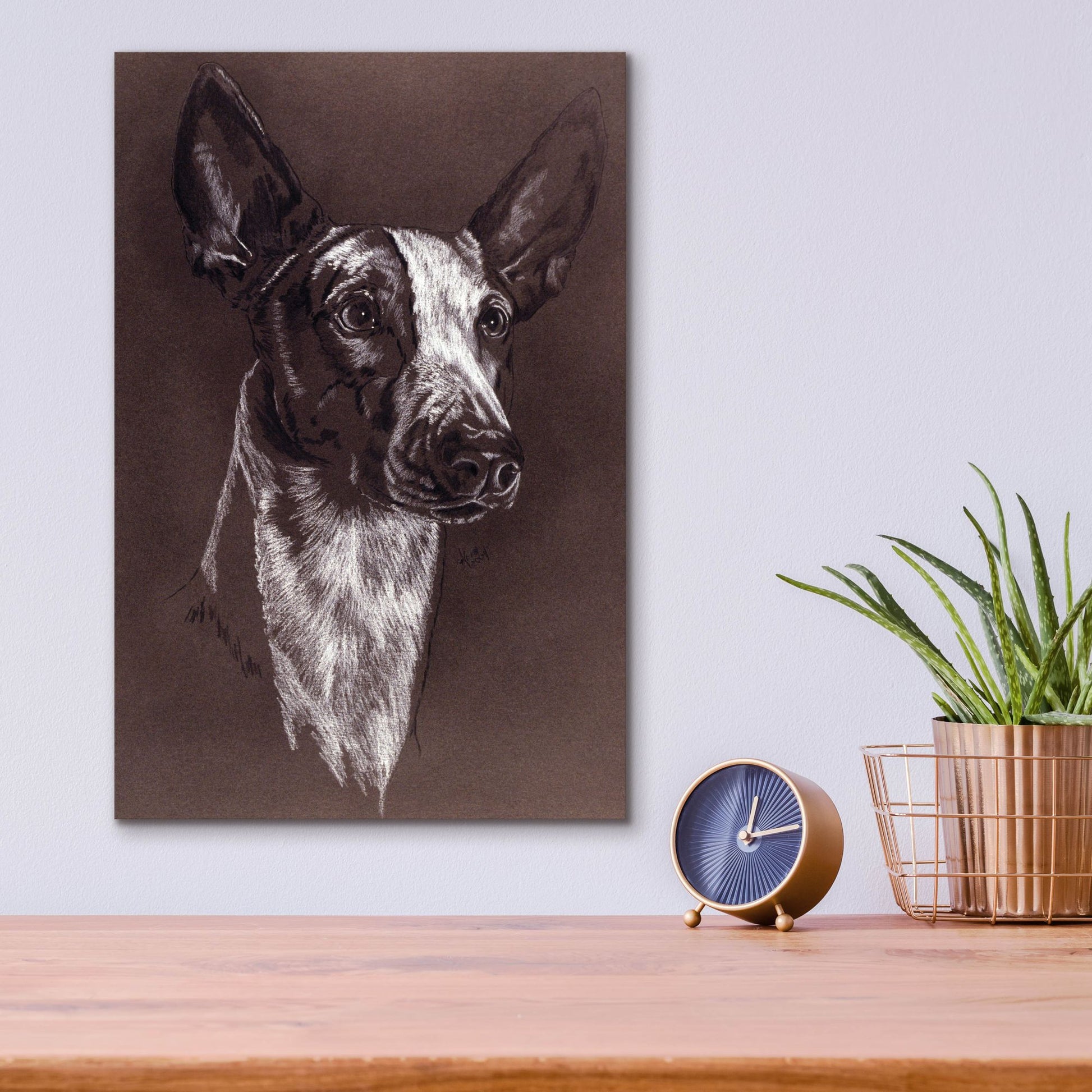 Epic Art 'Ibizan Hound' by Barbara Keith, Acrylic Glass Wall Art,12x16