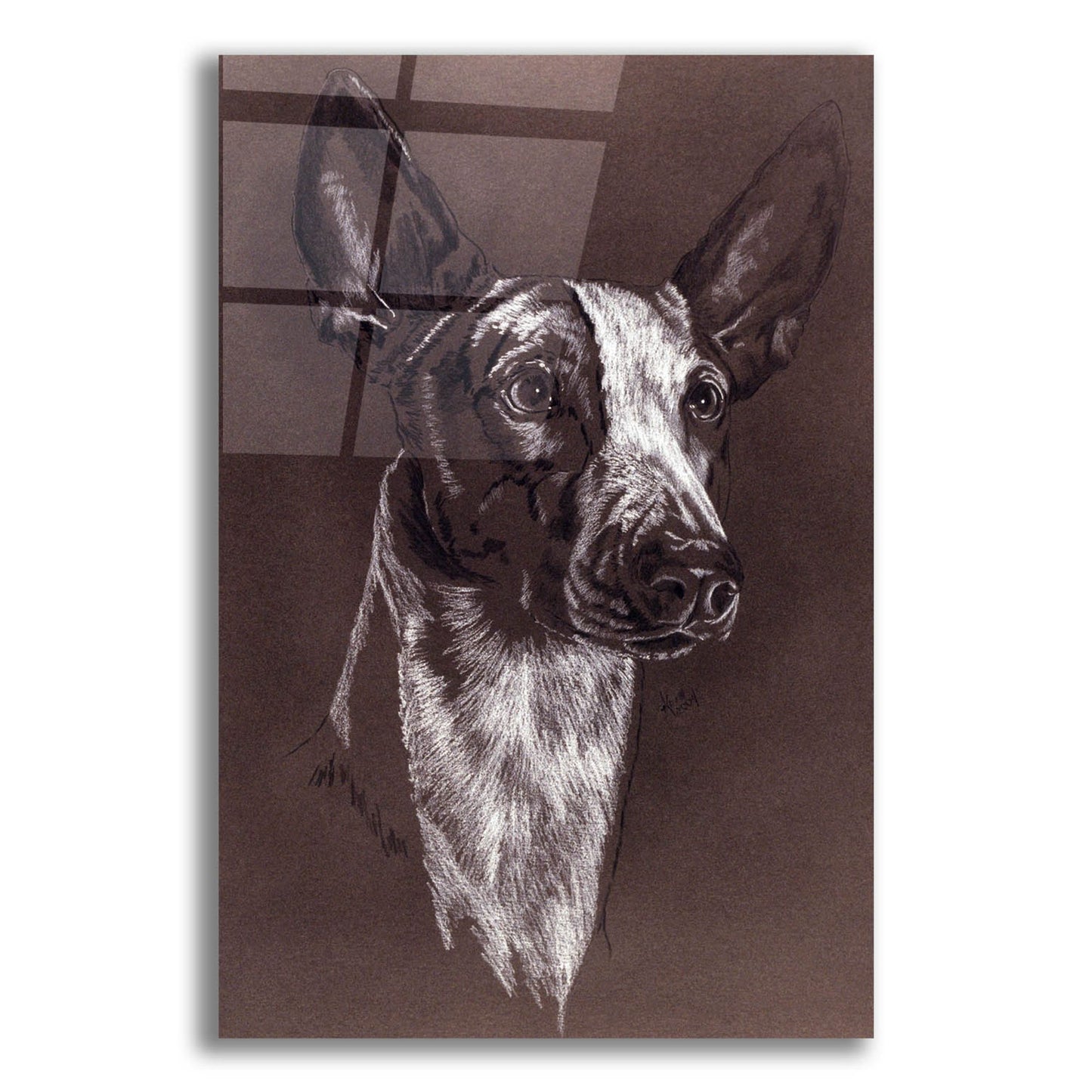 Epic Art 'Ibizan Hound' by Barbara Keith, Acrylic Glass Wall Art,12x16