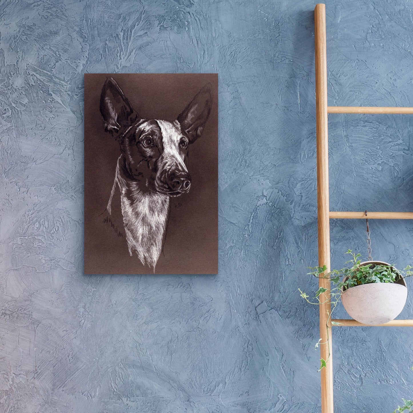 Epic Art 'Ibizan Hound' by Barbara Keith, Acrylic Glass Wall Art,16x24