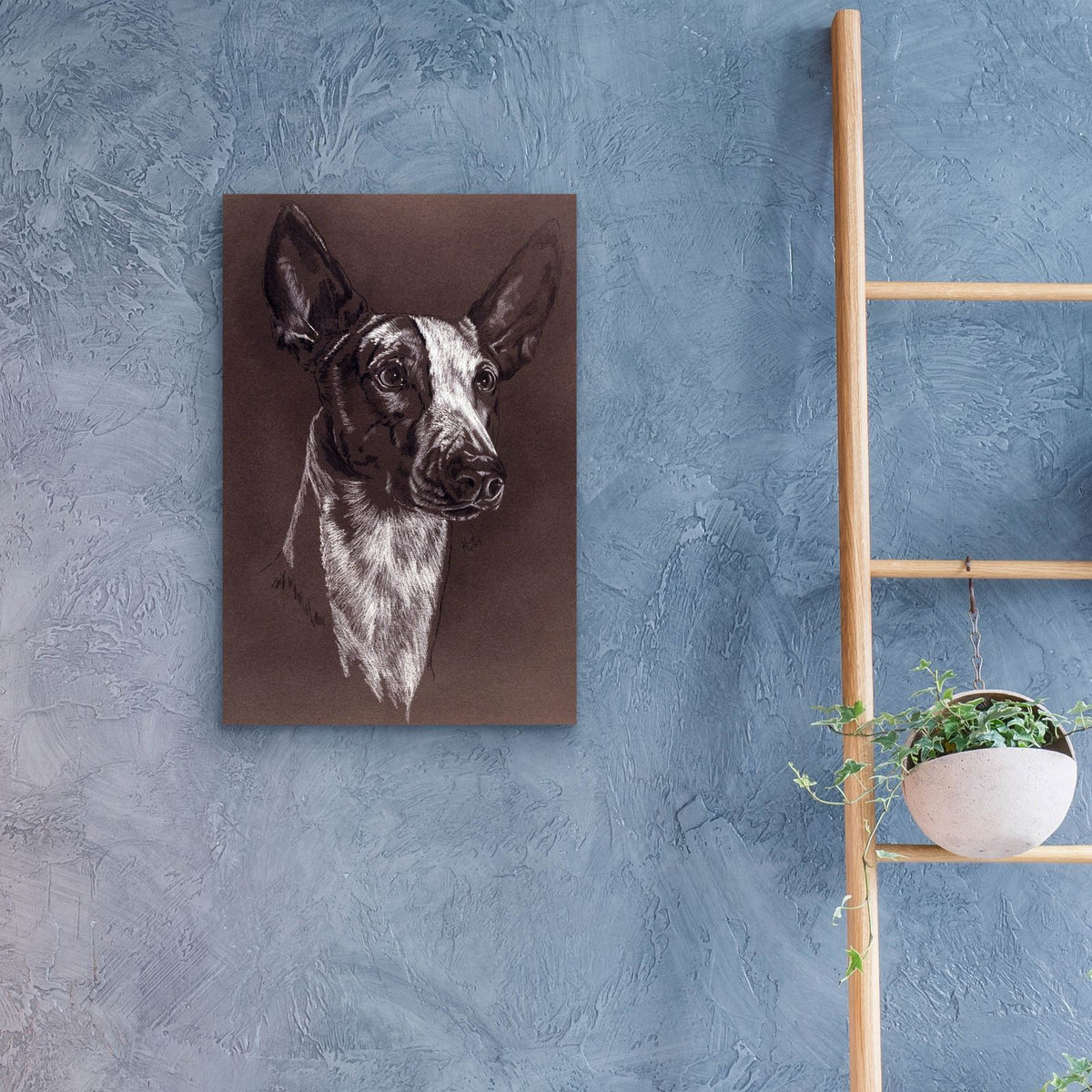 Ibizan Hound by Barbara Keith - 16x24 acrylic wall art in a room