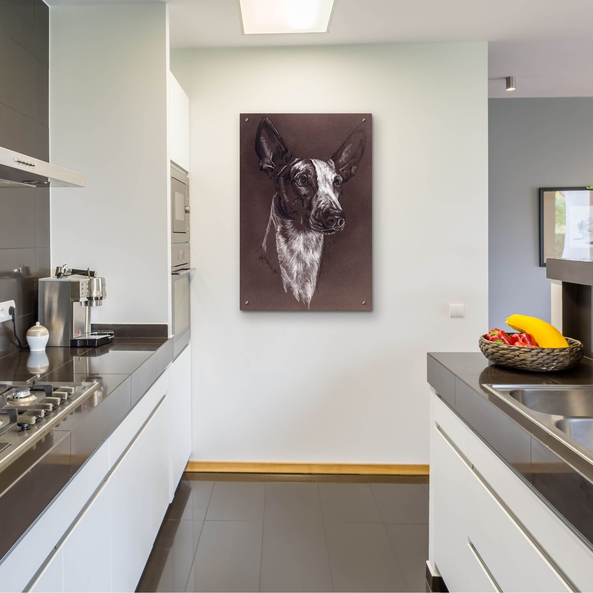 Epic Art 'Ibizan Hound' by Barbara Keith, Acrylic Glass Wall Art,24x36