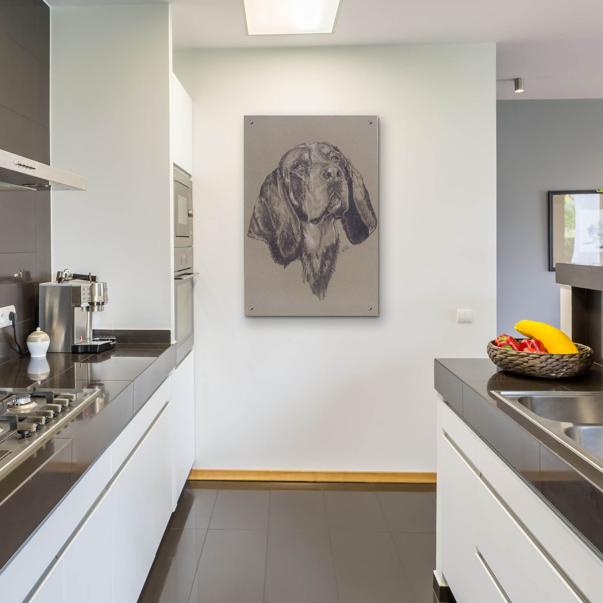 Blue Tick Hound by Barbara Keith - 24x36 acrylic wall art in a room