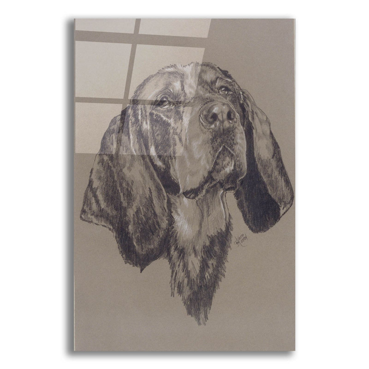 Blue Tick Hound by Barbara Keith acrylic glass wall art