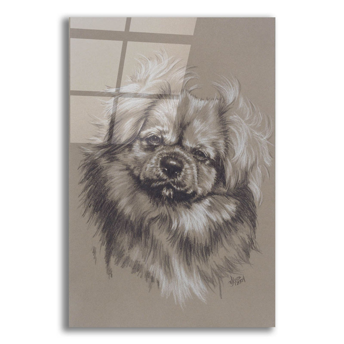 Tibetan Spaniel by Barbara Keith acrylic glass wall art