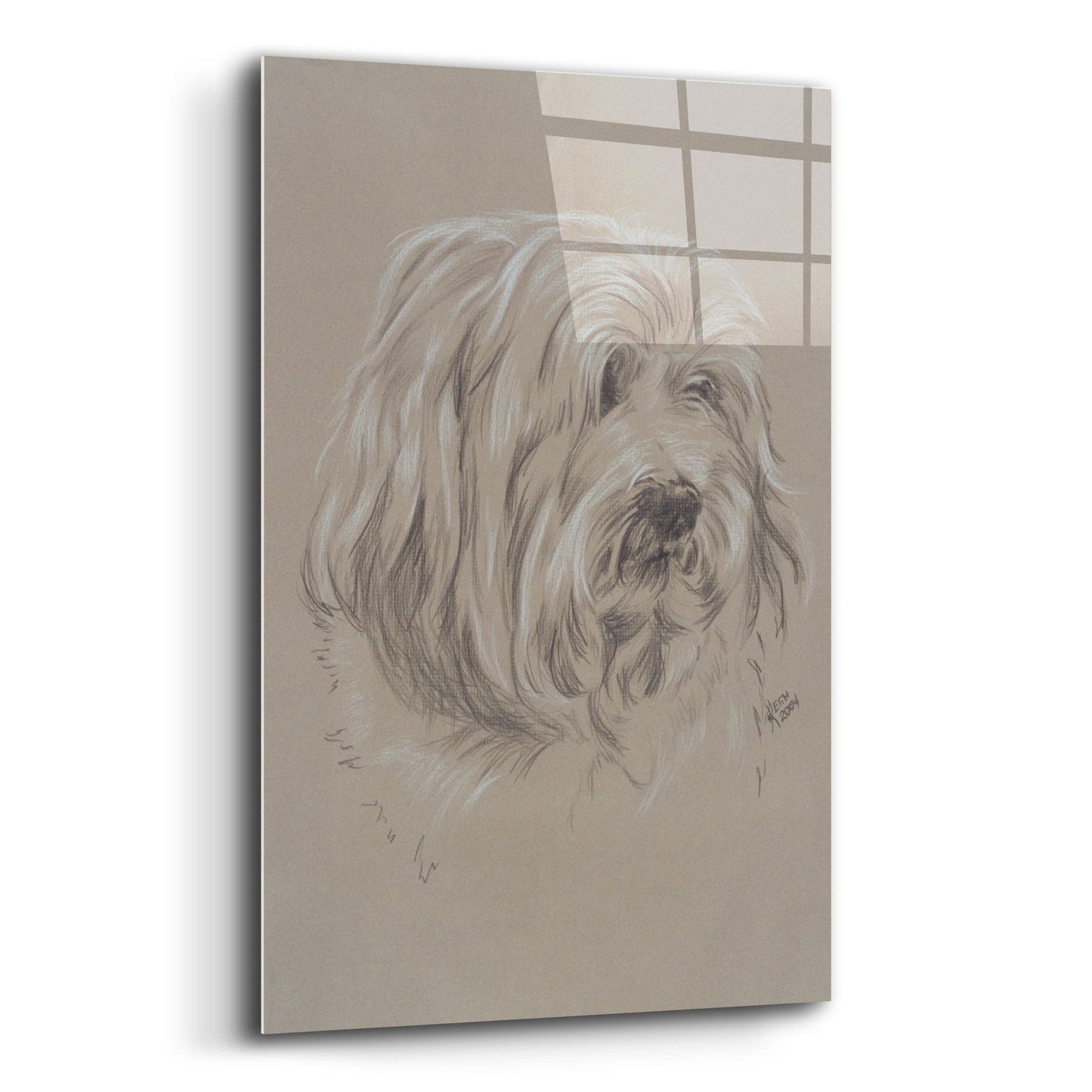 Epic Art 'Havanese' by Barbara Keith, Acrylic Glass Wall Art,12x16