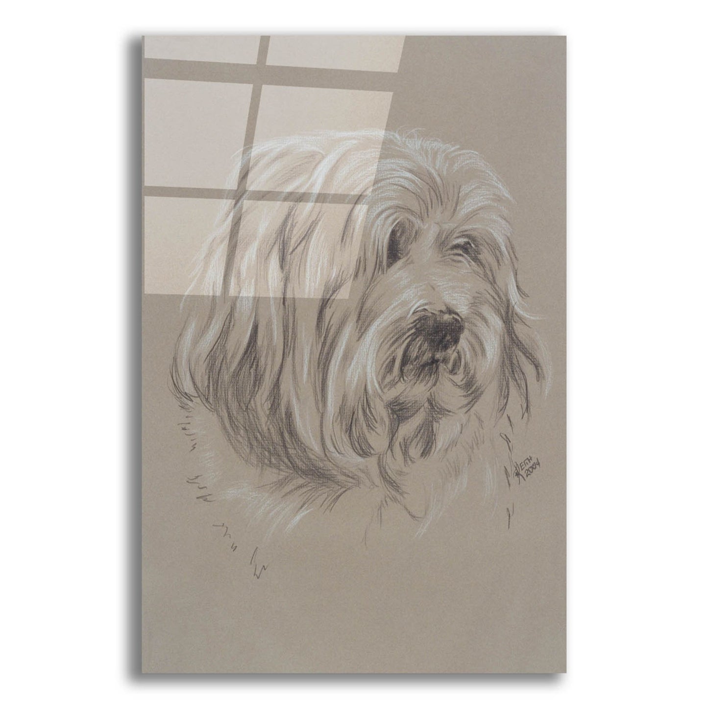 Epic Art 'Havanese' by Barbara Keith, Acrylic Glass Wall Art,12x16