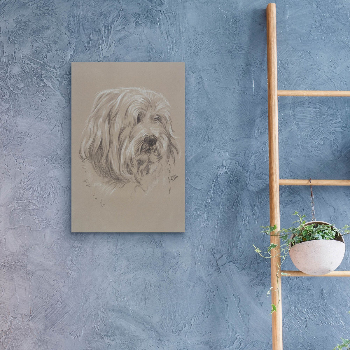 Epic Art 'Havanese' by Barbara Keith, Acrylic Glass Wall Art,16x24