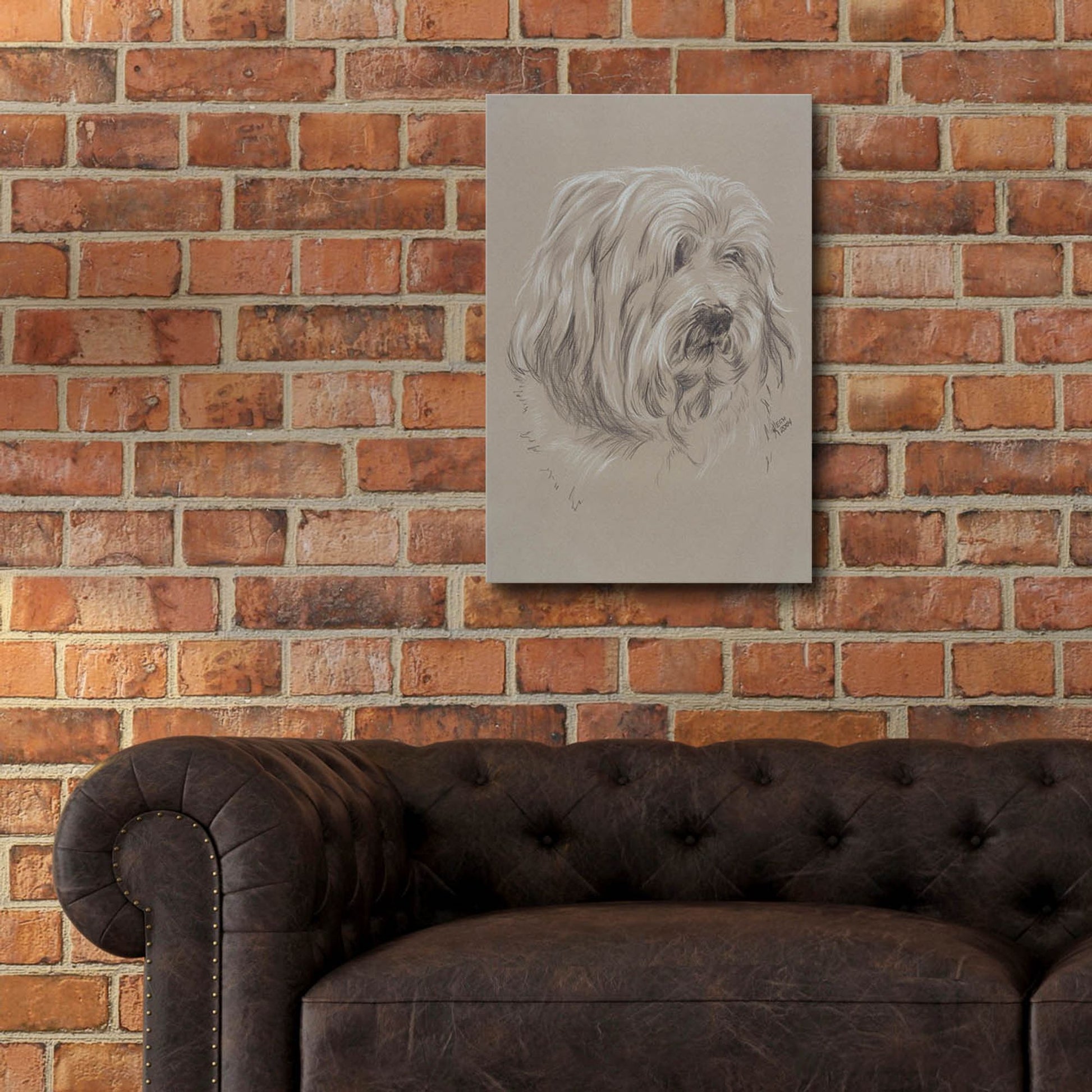 Epic Art 'Havanese' by Barbara Keith, Acrylic Glass Wall Art,16x24