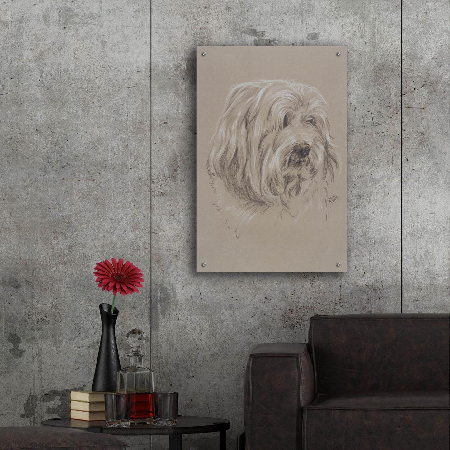 Epic Art 'Havanese' by Barbara Keith, Acrylic Glass Wall Art,24x36