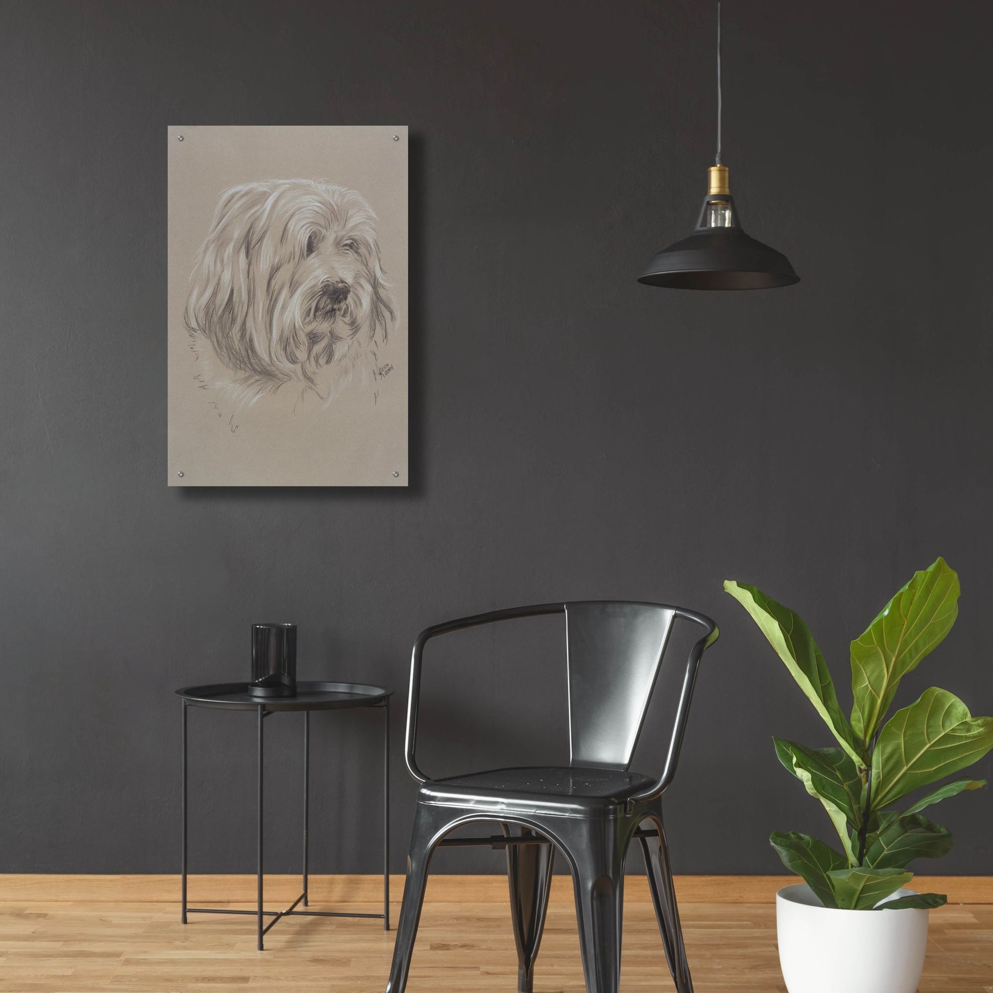 Epic Art 'Havanese' by Barbara Keith, Acrylic Glass Wall Art,24x36